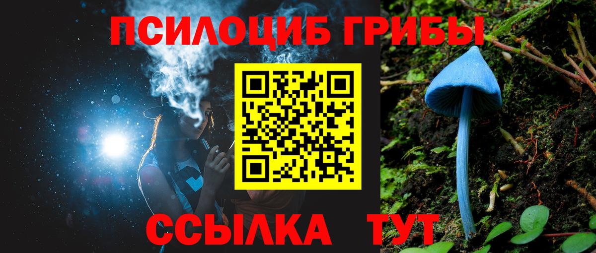Мичуринск  купить закладку  Вход с VPN  Псилоцибиновые грибы мицелий 